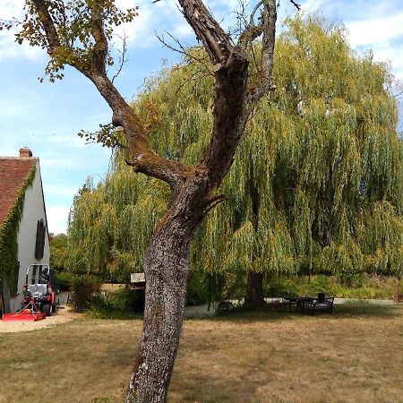 Appartamento Domaine de la Richardelle Courtenay  Esterno foto